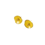 Earrings only
